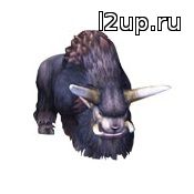 http://2kolesa.ucoz.com/quest/buffalo/12.jpg